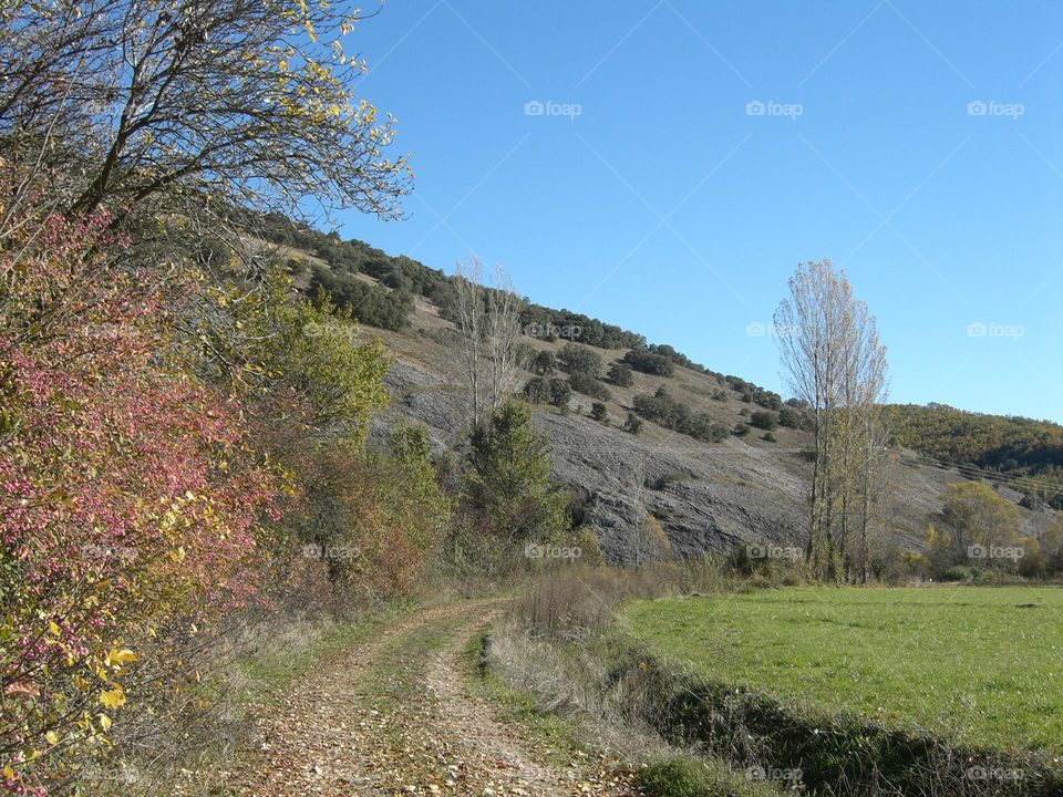 Paisaje de otoño
