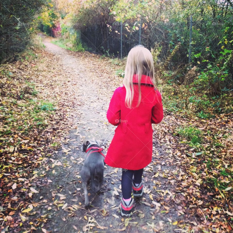 Walking the dog. Autumn walk down a country lane