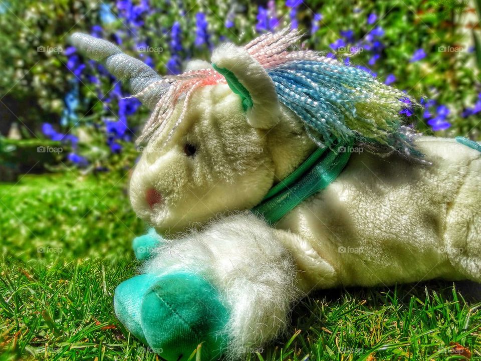 Unicorn in the garden