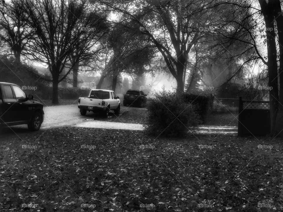 Black and white
,fog,cars ,grass