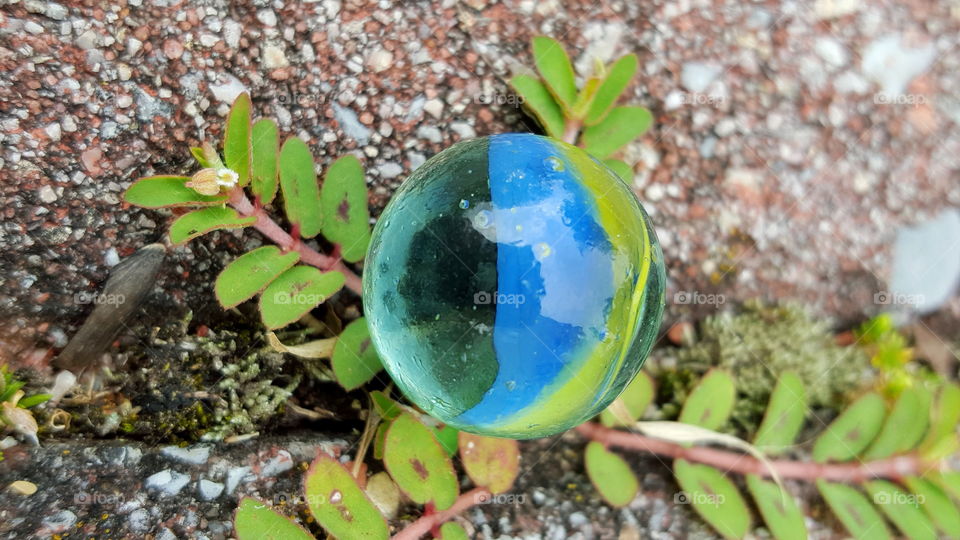 Cat's eye marble. Close up of colorful blue green and yellow swirled glass marble