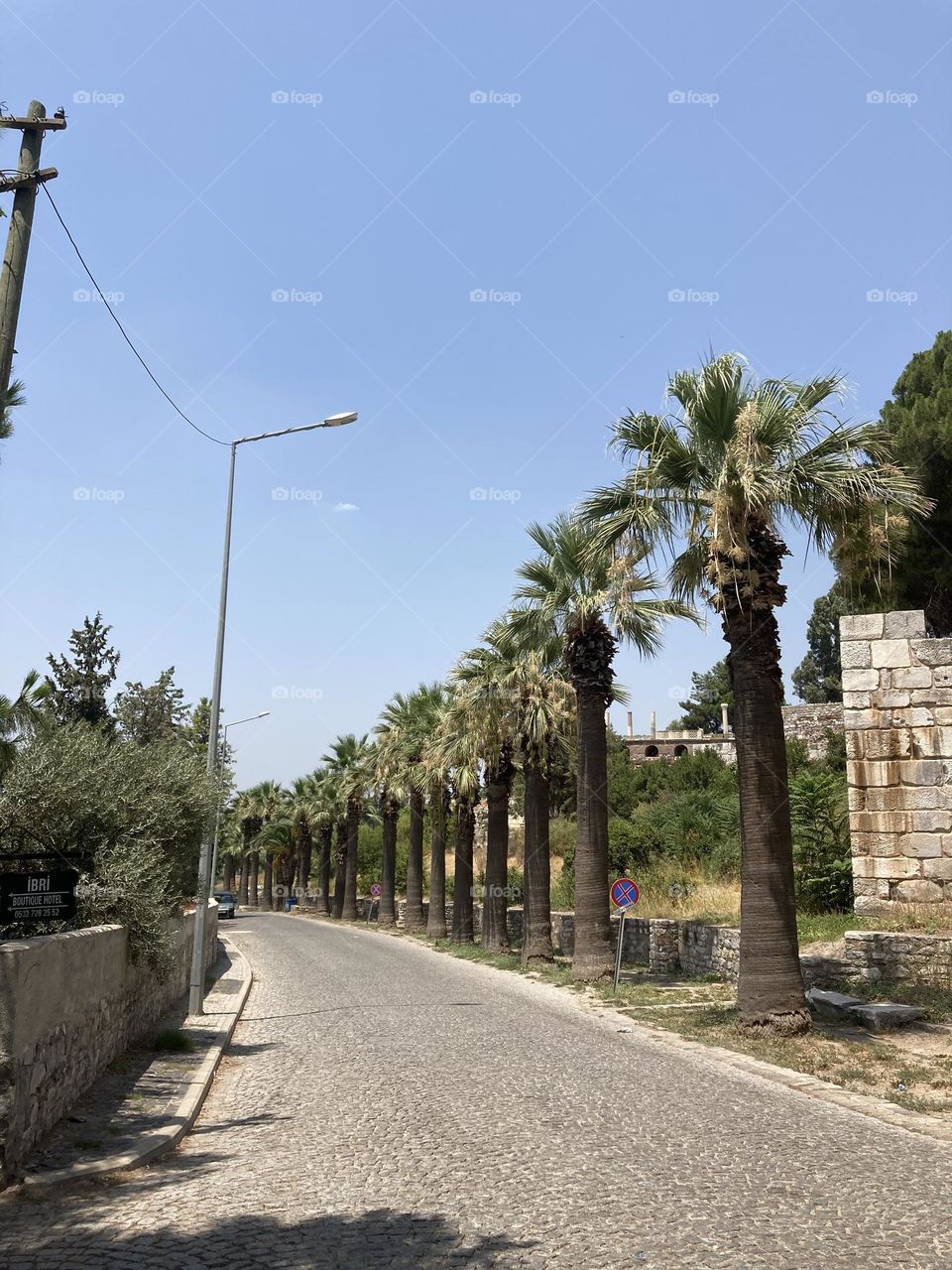 Beach time on holidays. Blue sky and tall palm trees. Sunsets and sunny days. Summertime in Kusadasi. Vacation travel in Turkey . Summer view. Sunny day during vacation 