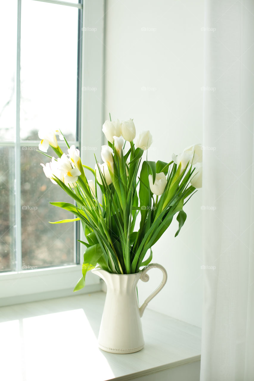 Close-up of tulip flower