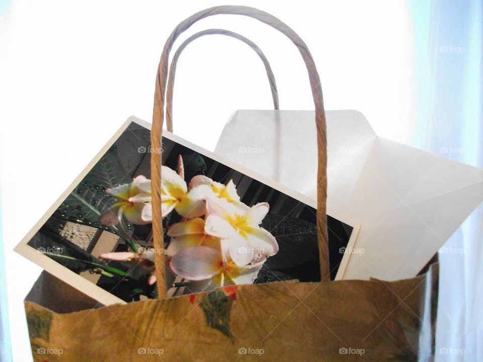 All Occasion Gift Bag and Card