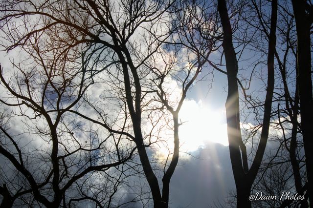 Sun thru the clouds
