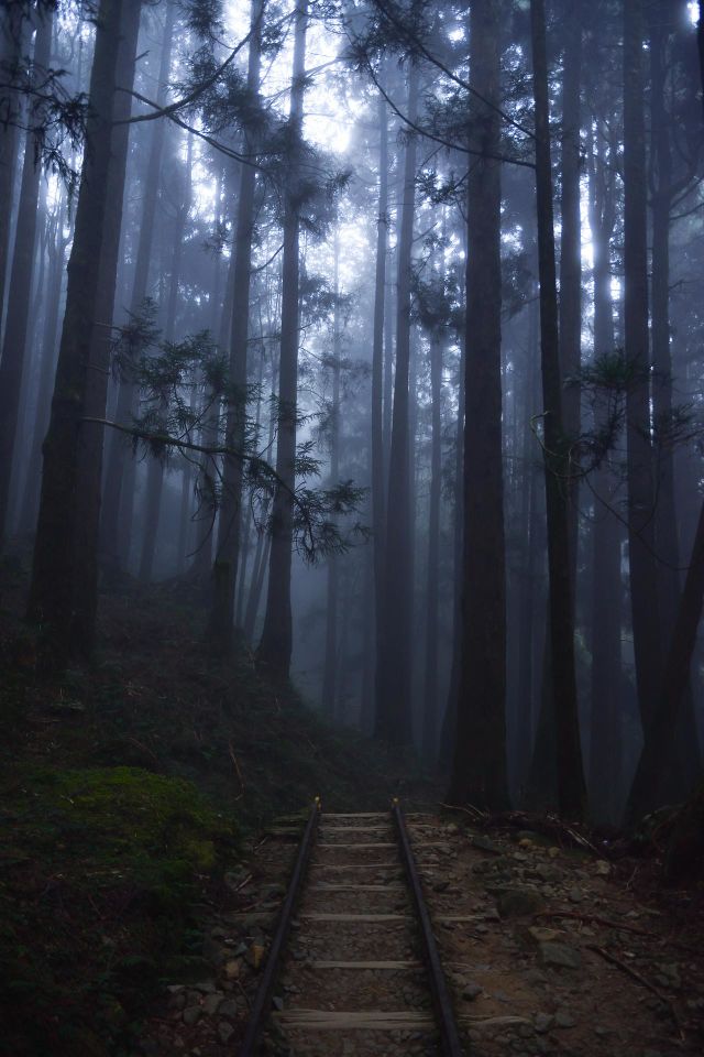 tread