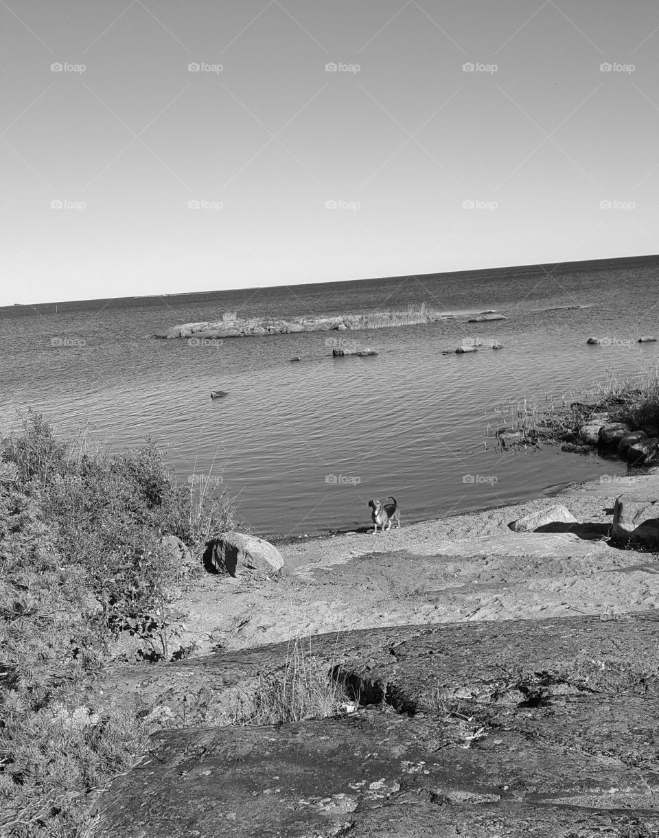 Black and White view