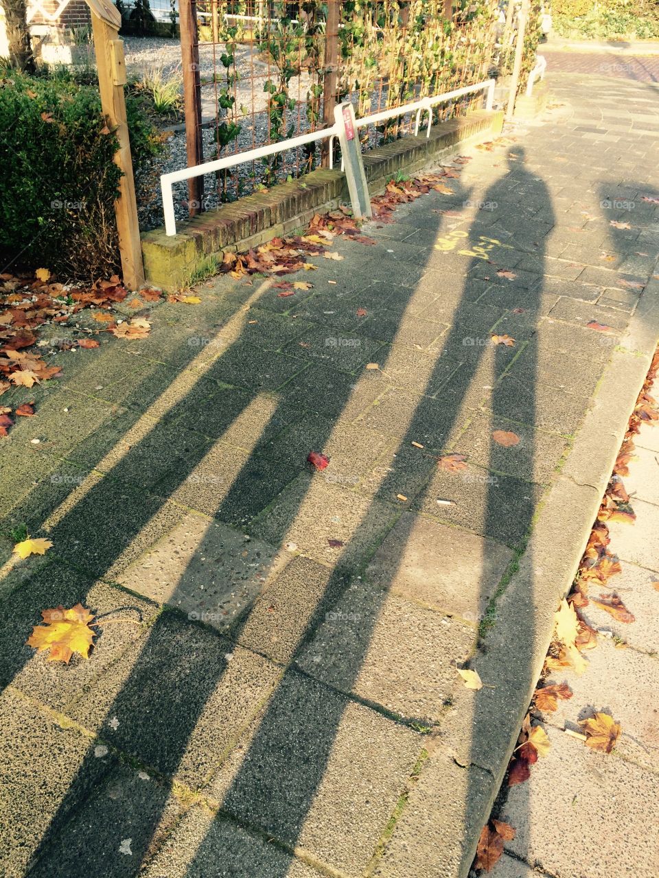 Shadow People