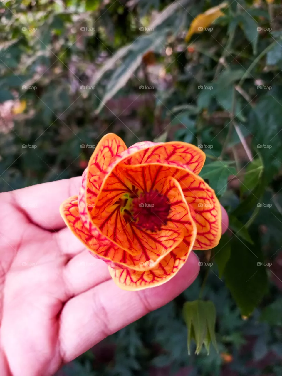 circle