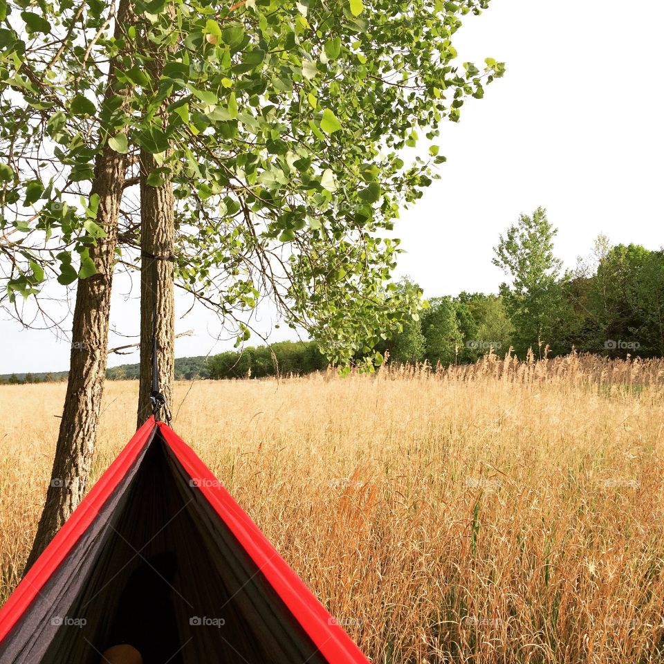 I found this perfect hammock hangout when I wondered off the trail at a local state park. Nothing more perfect than watching the wind wonder through the field while laying back escaping the fast paced world.