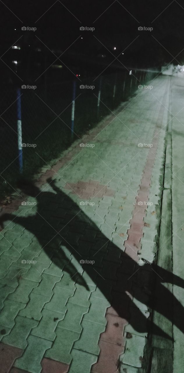 silhouettes and shadows