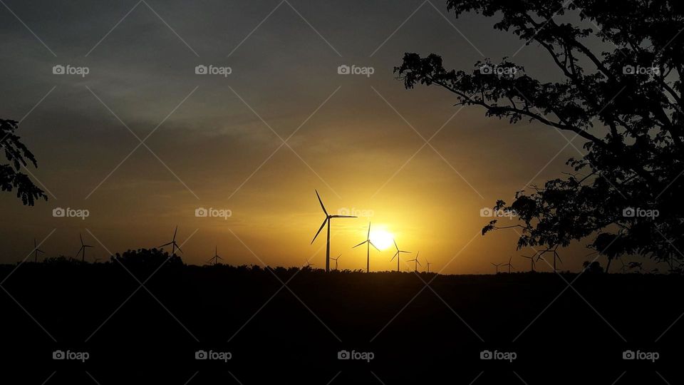 Sun rise with wind mills 