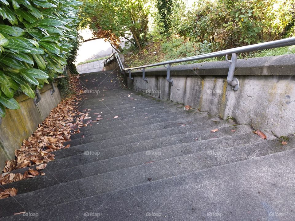 stairs, Seattle