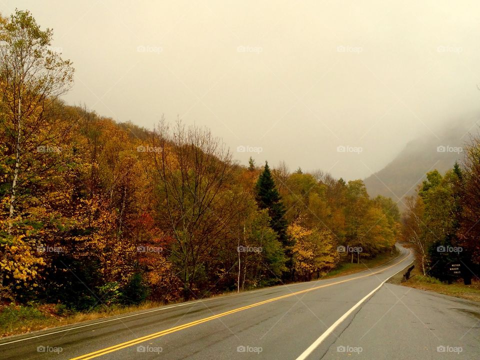 Grafton Notch State Park 
