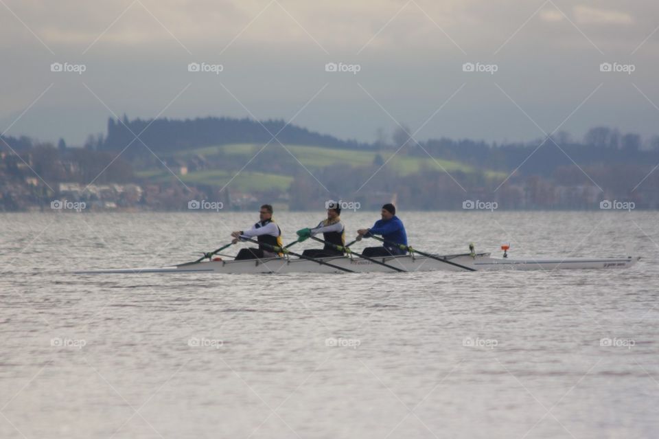 Men Rowing In Lake Sempachersee