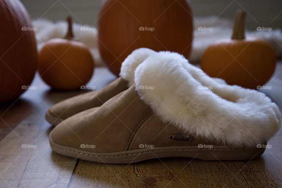 Acorn furry shoes And pumpkins 
