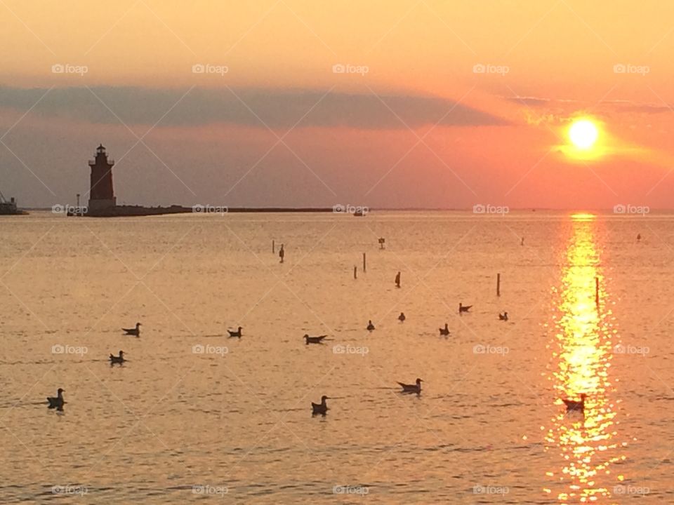 Cape Henlopen Sunset