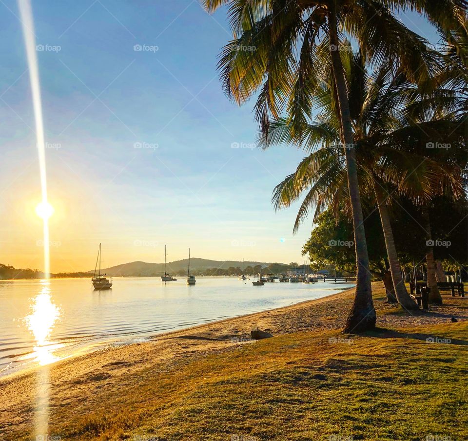 Sunrise under the palm trees at the beach 