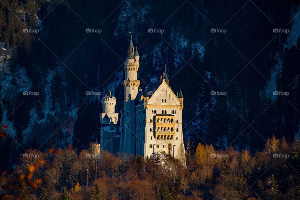 neuschwanstein castle in winter