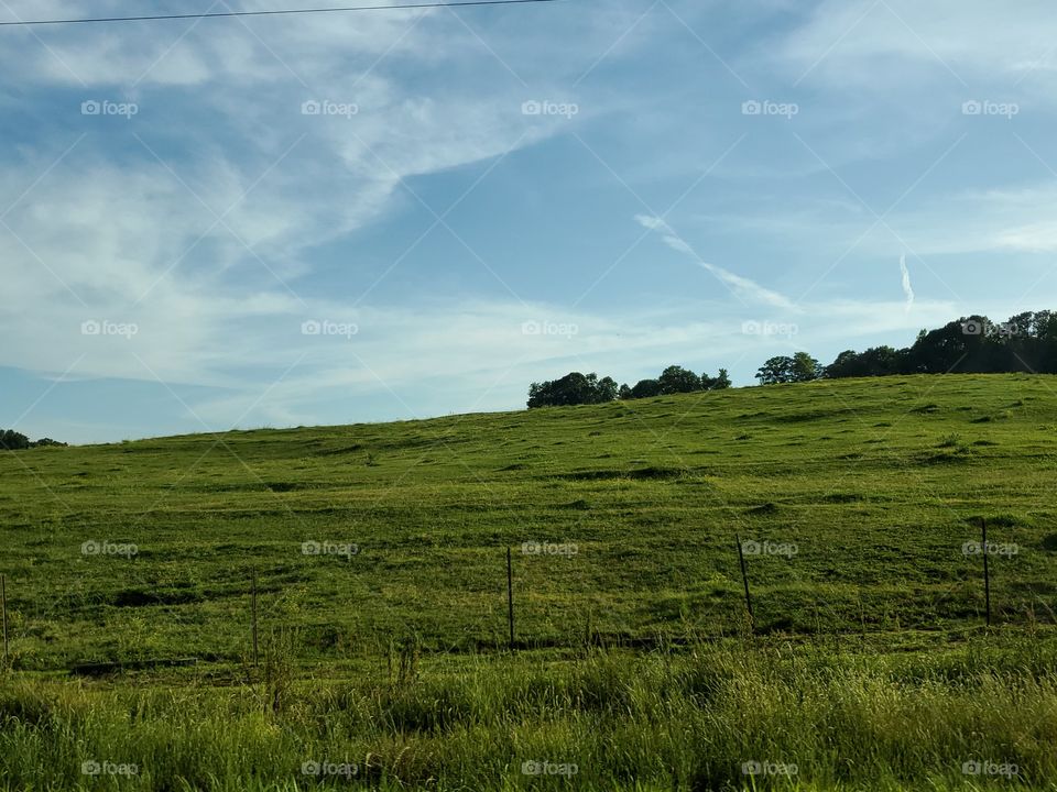 Fields in Brooksville AL