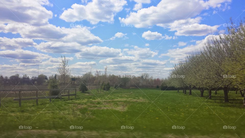 fields. Sunday drive