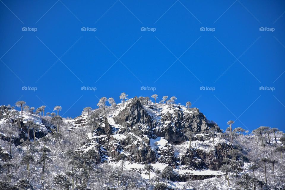 beautiful mountains of Araucania fields of chilean patagonia