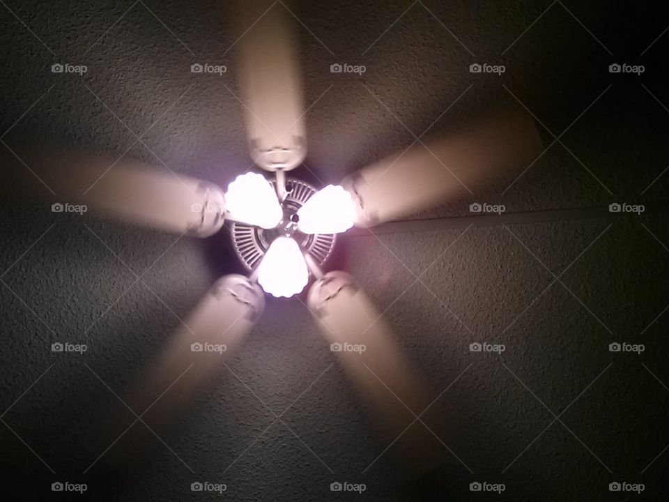 Fan