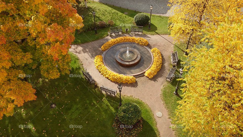 Autumn park with a fountain and benches 🍁🍂