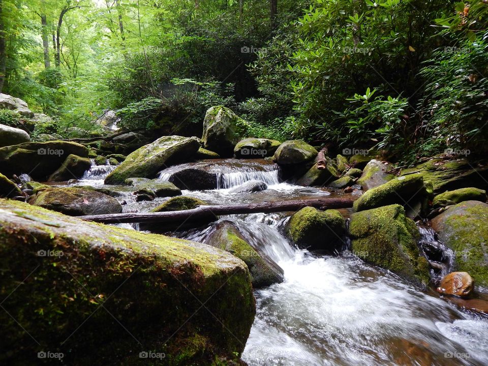 Moss covered boulders on Darnell creek in Georgia