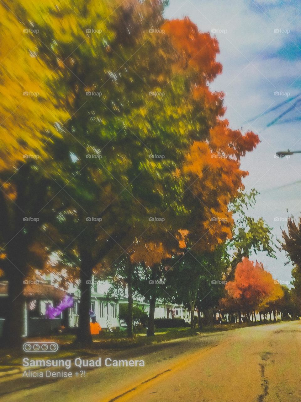 A street photo of the vibrant fall colored trees popping with color 