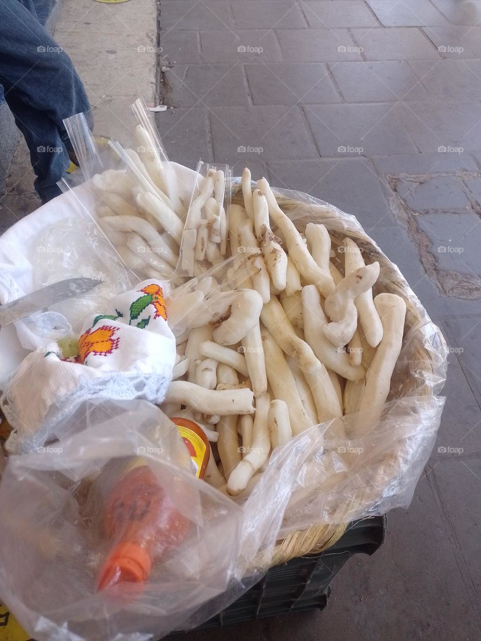 camote blanco de ciudad Guzmán