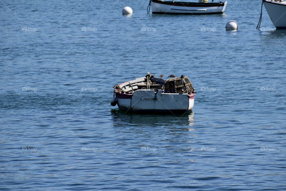 An empty fisher boat in a Harbour with cages and seagull bird