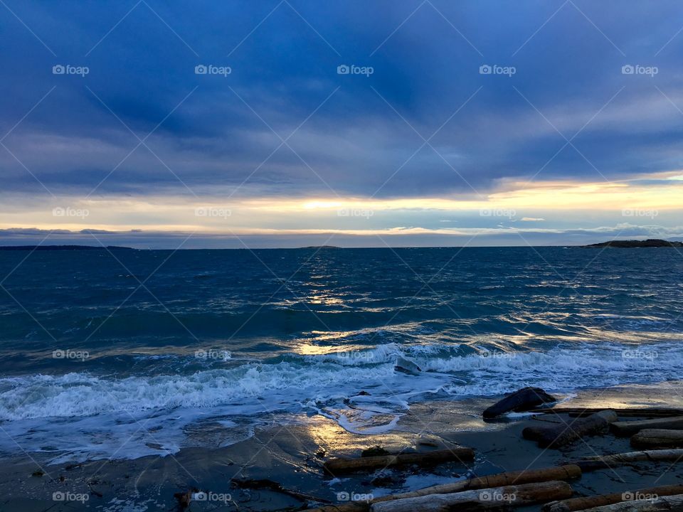 High angle view of woodenlog on beach