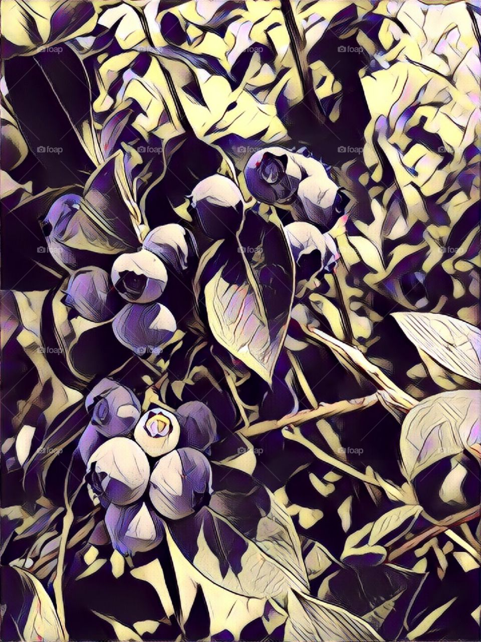grape cluster in comic style