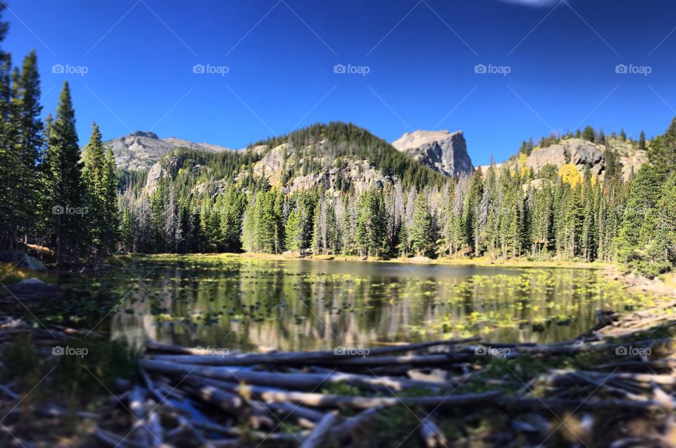 Nymph Lake Rocky Mountain National Park Colorado 