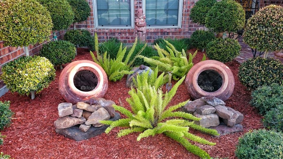 landscape topiary fox tail ferns rocks house Texas March