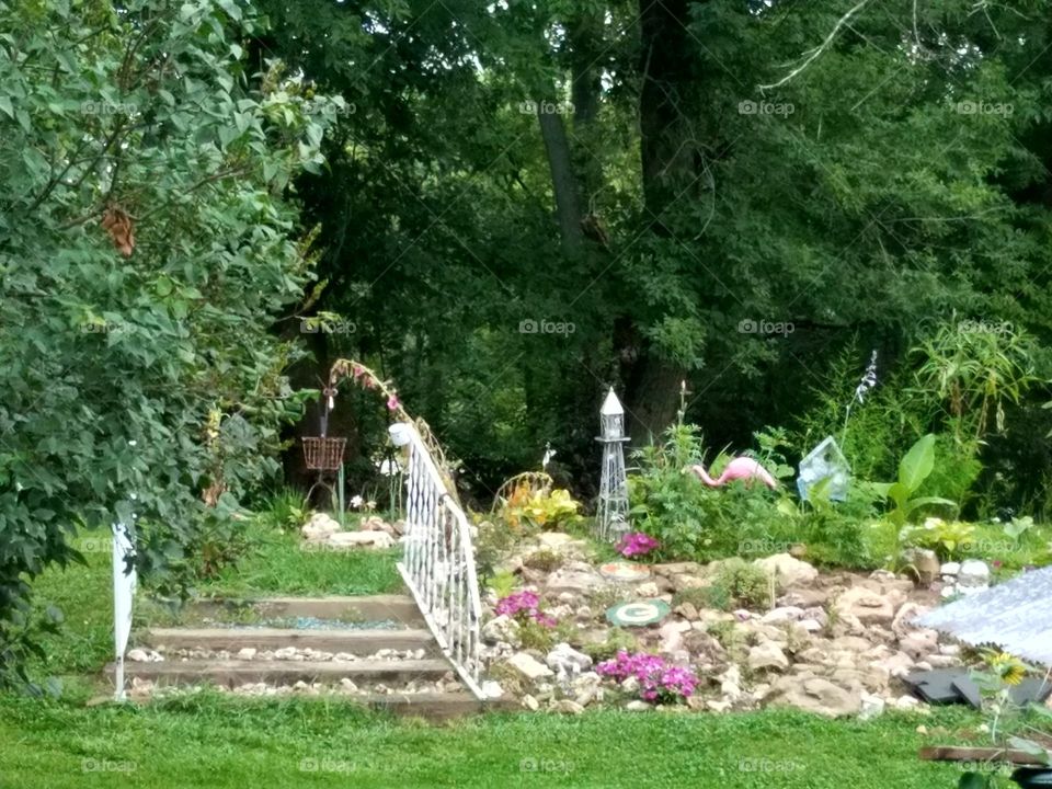 my project for the summer