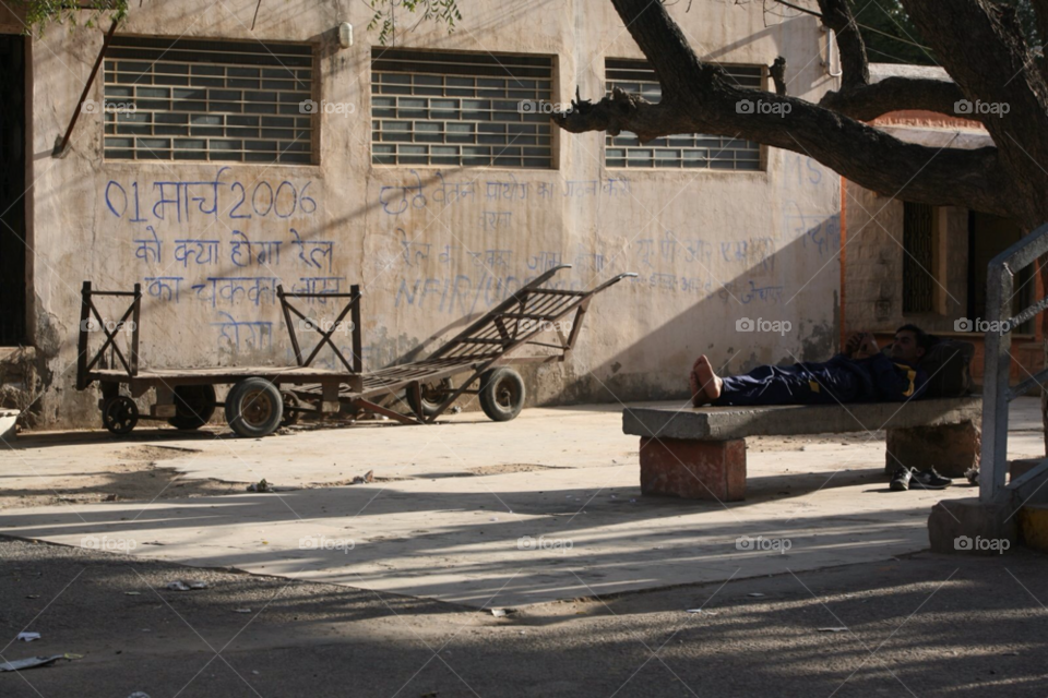 tree shadows calm india by hoslo