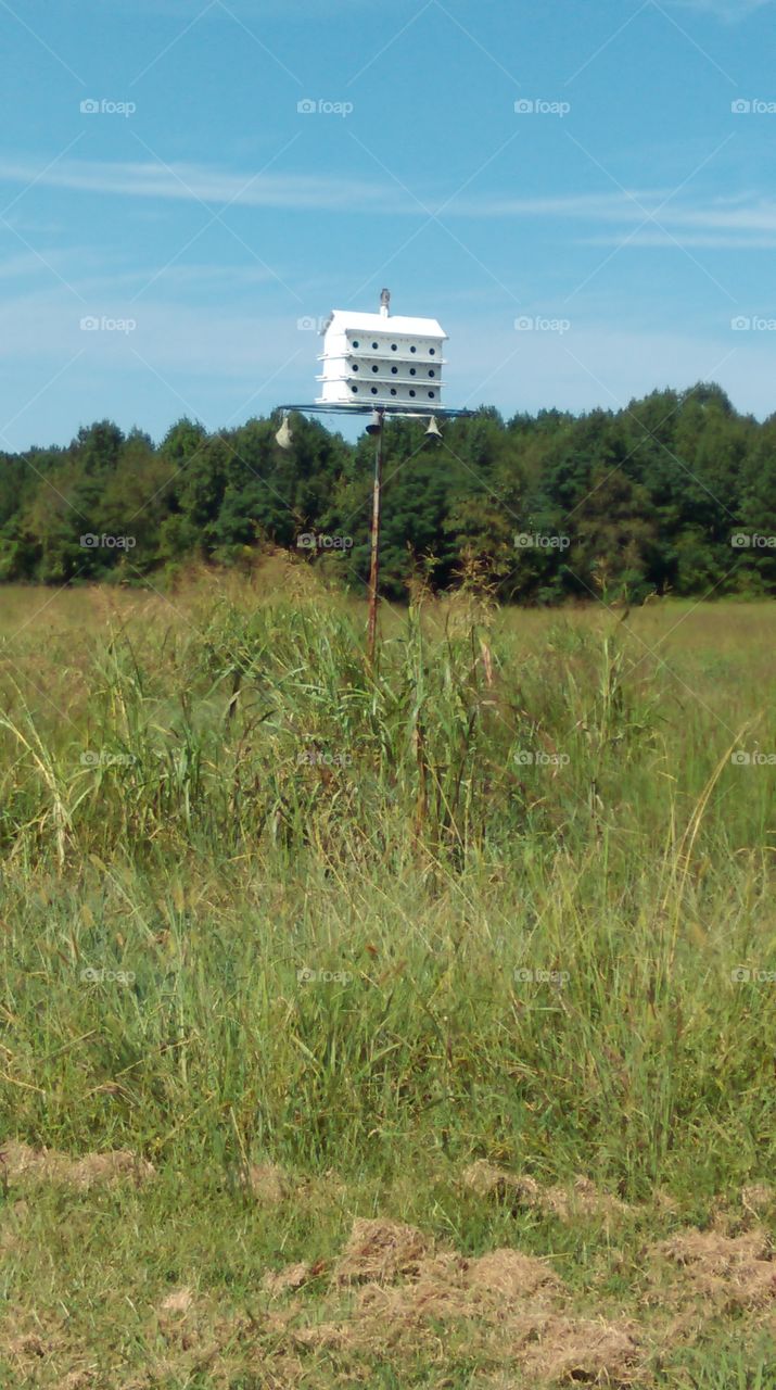 Birdhouse in a field