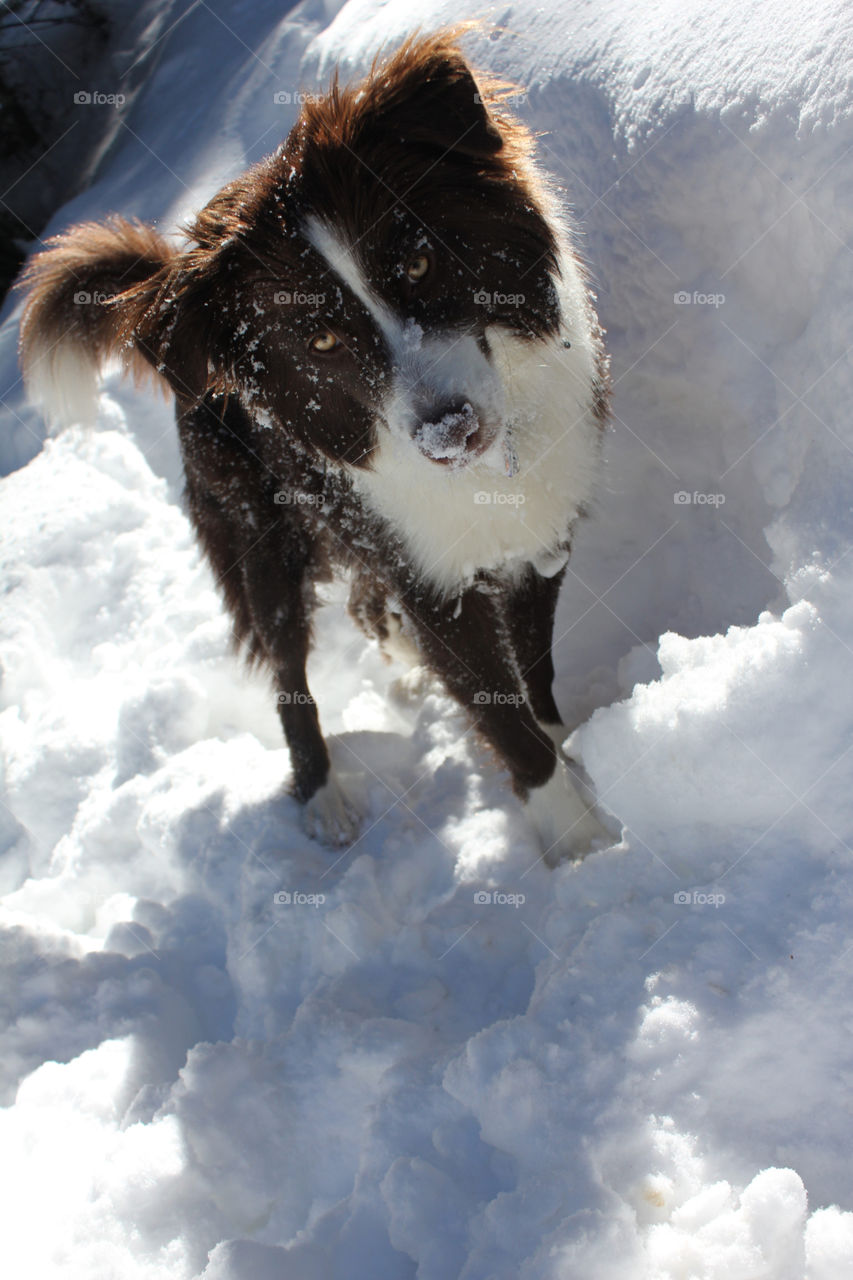 Hey baby, how U doing?