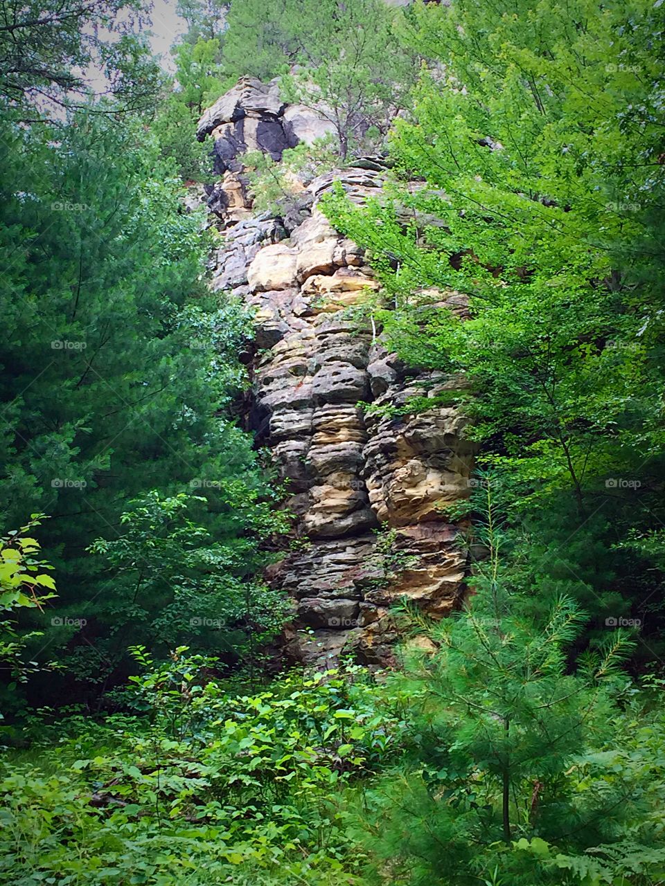 Bluff Erosion. This is the side of Mill Bluff at Mill Bluff State Park in Wisconsin.