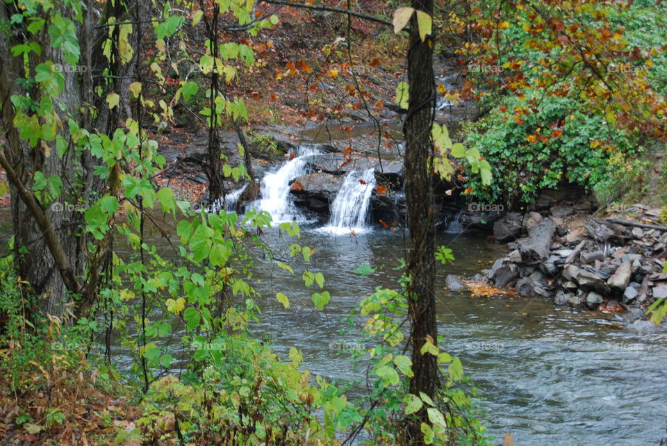 Waterfall in the Forest