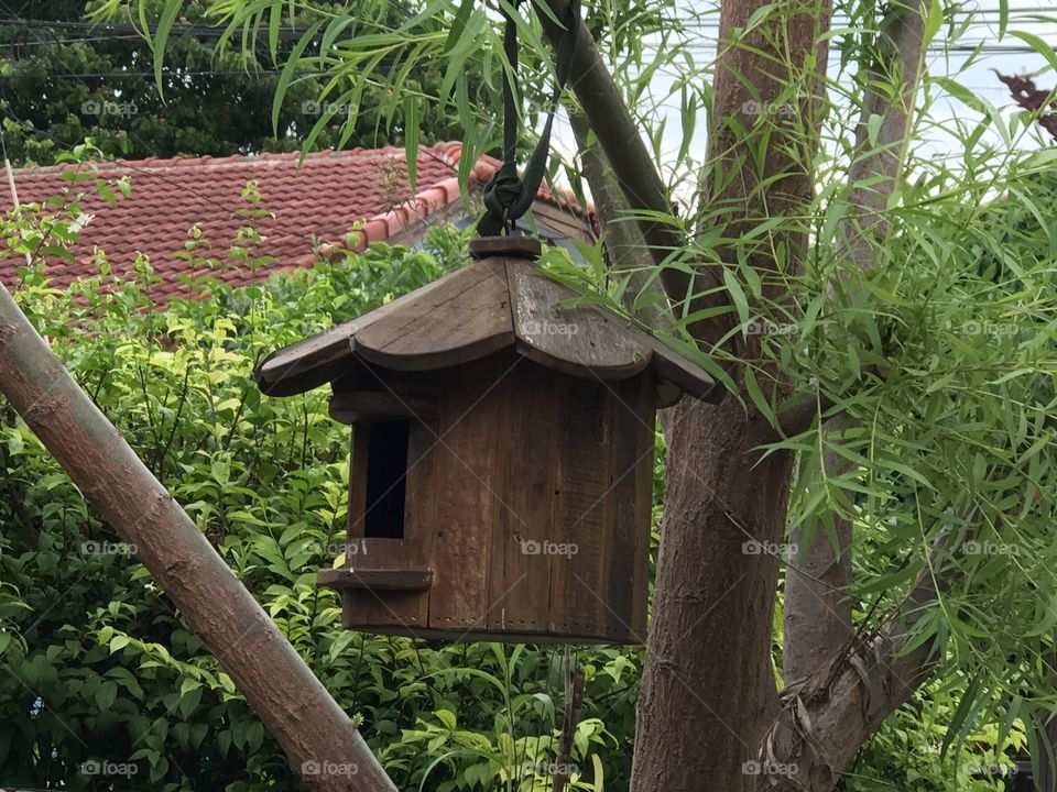 Man made bird house in Thailand 