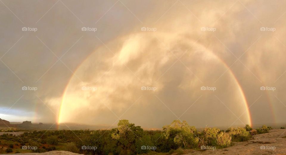 The most magical rainbow I have ever seen, as we wandered the desert of Utah in a rainstorm 