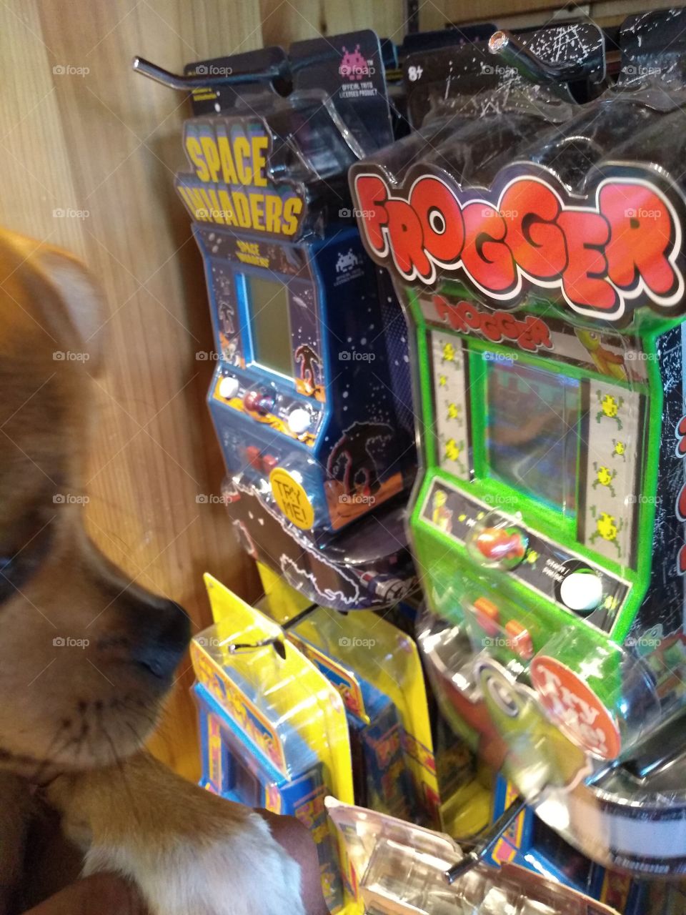 trouble with highway crossing frog