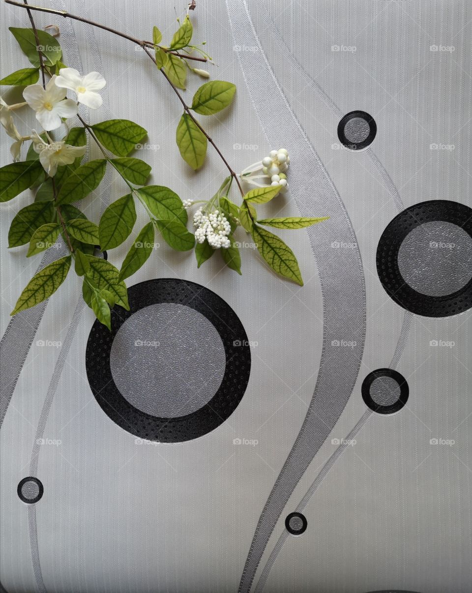 The varieties background.