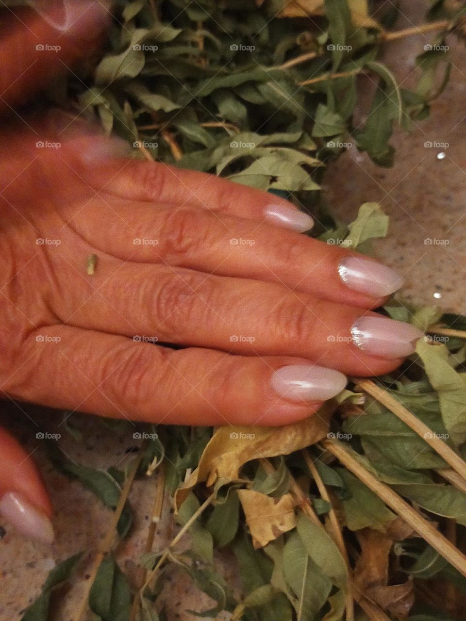 uñas manicura color claro