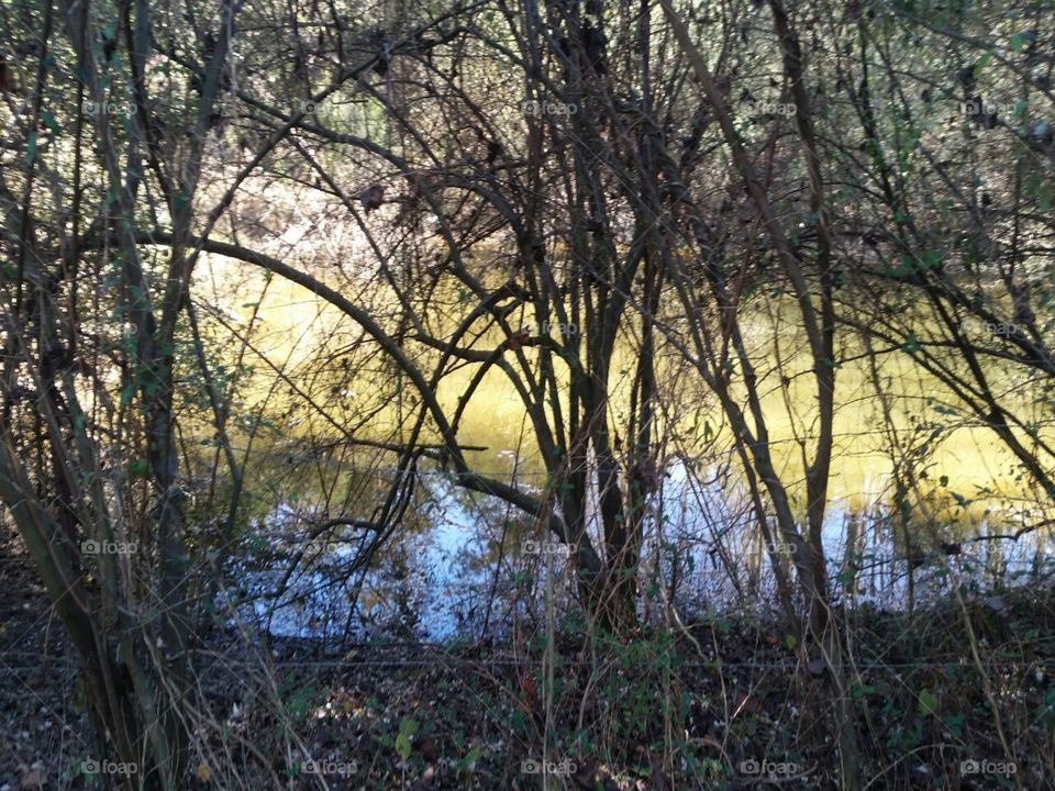 West Virginia hidden pond on old forgotten  farm property