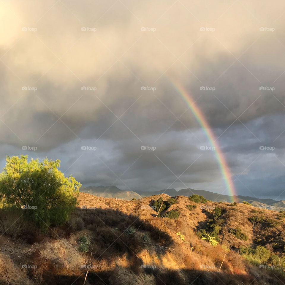 A rainbow after a winter storm on the horizon and the sunlight casting a warm glow!