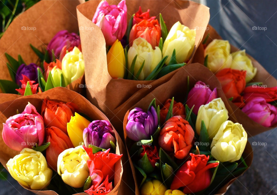 Tulips